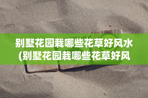 魔域私服师徒系统焕新：导师特权详解，永久幻魂与圣锻石获取路径