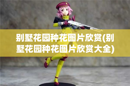 魔域私服：新职业技能特效展示，美轮美奂