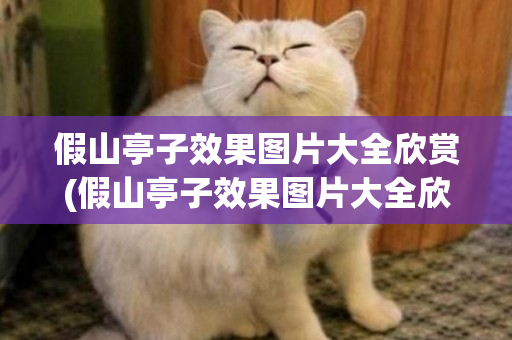 魔域怀旧服生态解析：取消副本与打年，纯手动玩家的坚守与困境